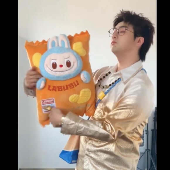 THE MONSTERS Wacky Mart Series-Pillow pre order] THE MONSTERS